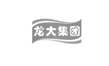 龙大食品